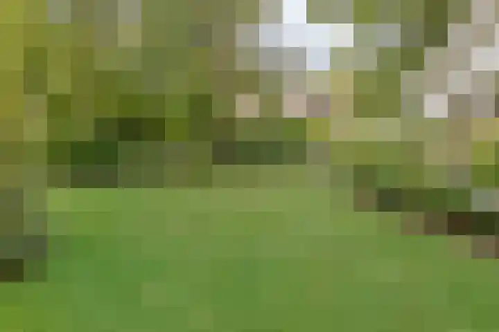Oude Larenseweg 24 Epse thumbnail 15