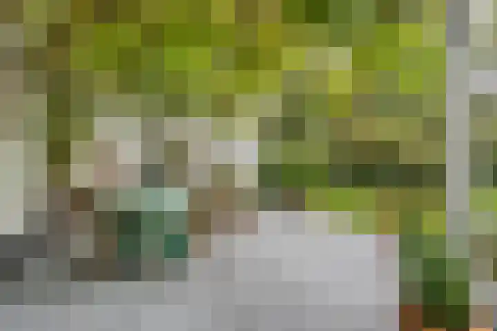 Oude Larenseweg 24 Epse thumbnail 18