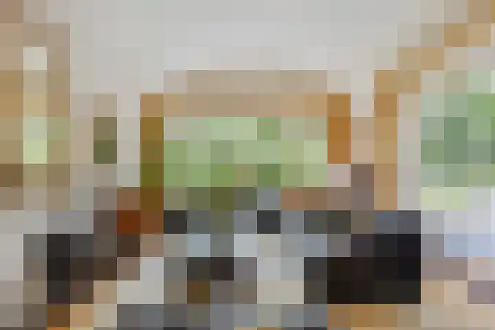 Oude Larenseweg 24 Epse thumbnail 21