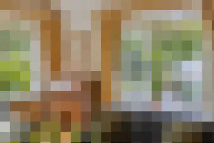 Oude Larenseweg 24 Epse thumbnail 22