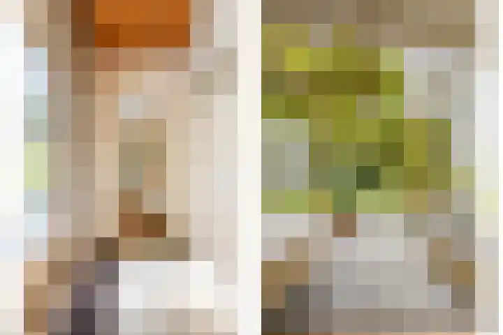 Oude Larenseweg 24 Epse thumbnail 23