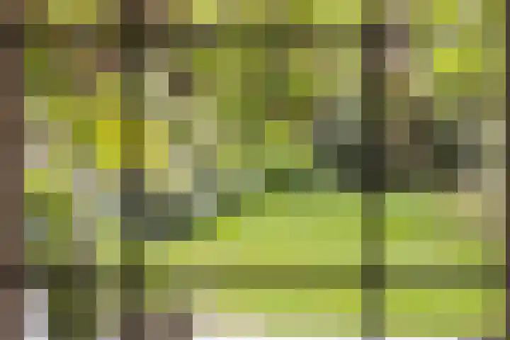 Oude Larenseweg 24 Epse thumbnail 25