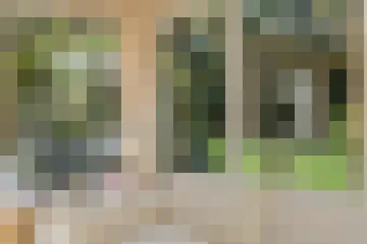 Oude Larenseweg 24 Epse thumbnail 27