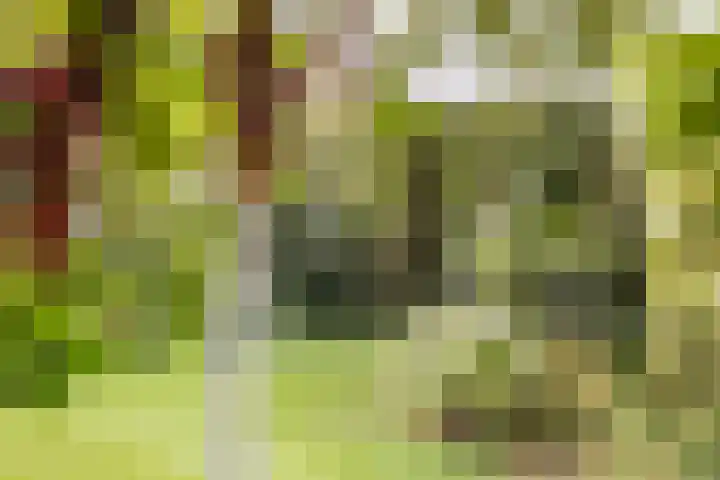 Oude Larenseweg 24 Epse thumbnail 29