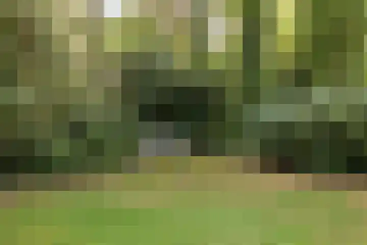 Oude Larenseweg 24 Epse thumbnail 30