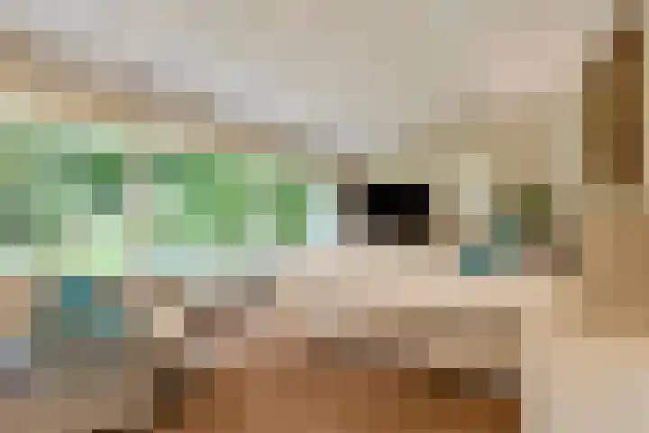 Oude Larenseweg 24 Epse thumbnail 38