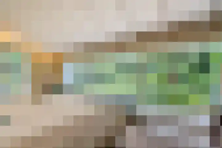 Oude Larenseweg 24 Epse thumbnail 39