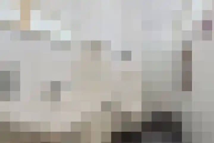 Oude Larenseweg 24 Epse thumbnail 41