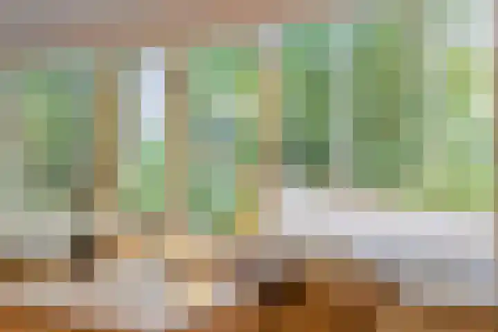 Oude Larenseweg 24 Epse thumbnail 46