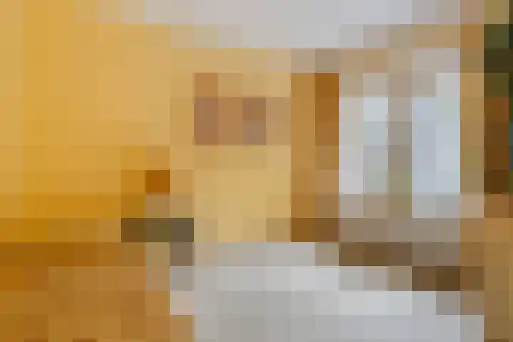 Oude Larenseweg 24 Epse thumbnail 50