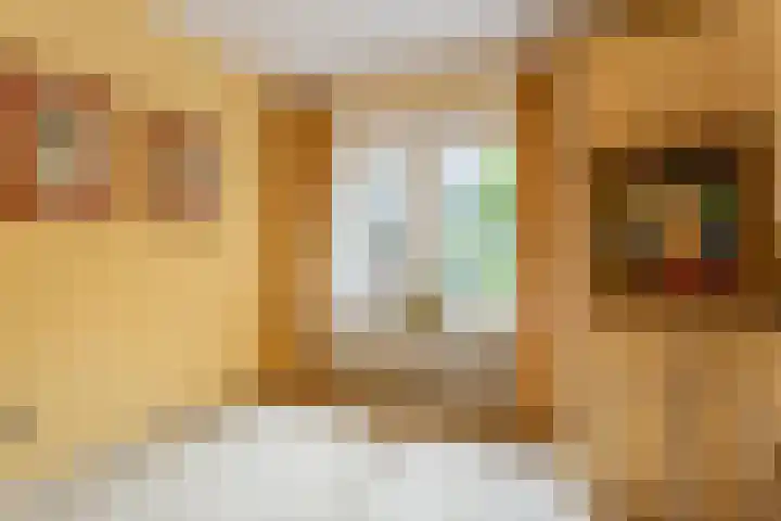 Oude Larenseweg 24 Epse thumbnail 51