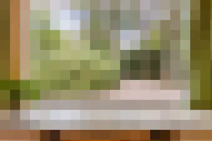 Oude Larenseweg 24 Epse thumbnail 52