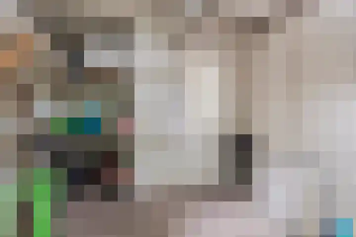 Oude Larenseweg 24 Epse thumbnail 60
