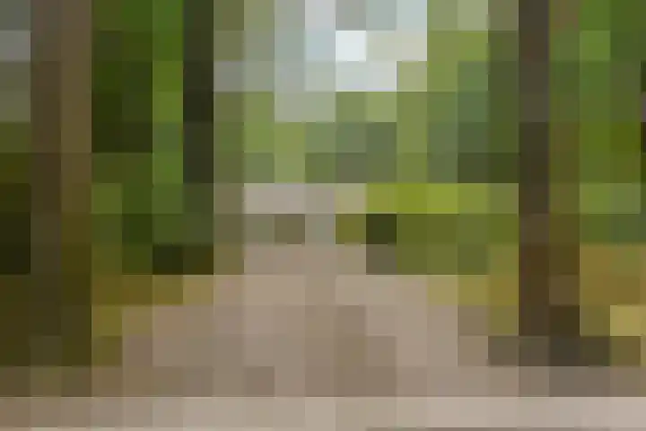 Oude Larenseweg 24 Epse thumbnail 61