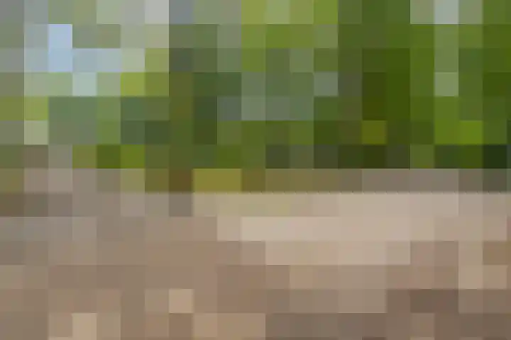 Oude Larenseweg 24 Epse thumbnail 62