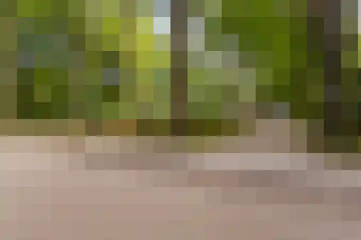 Oude Larenseweg 24 Epse thumbnail 63
