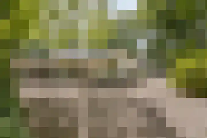 Oude Larenseweg 24 Epse thumbnail 7