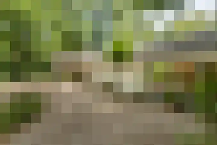 Oude Larenseweg 24 Epse thumbnail 8