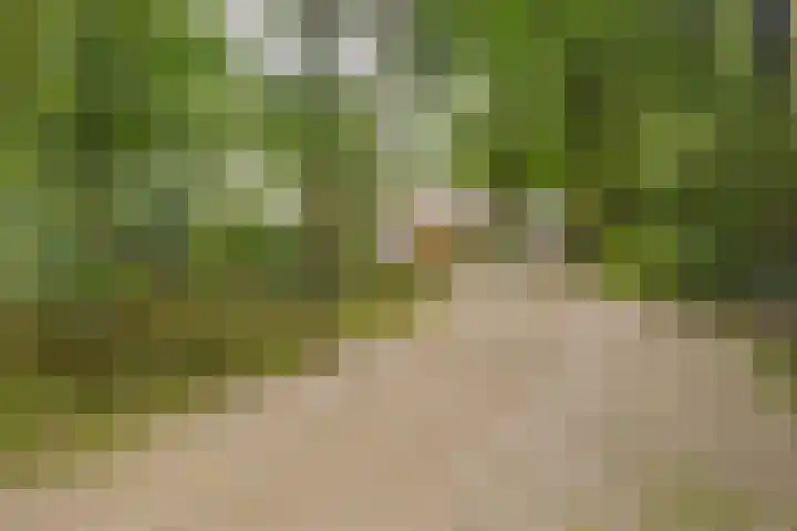 Oude Larenseweg 24 Epse thumbnail 9
