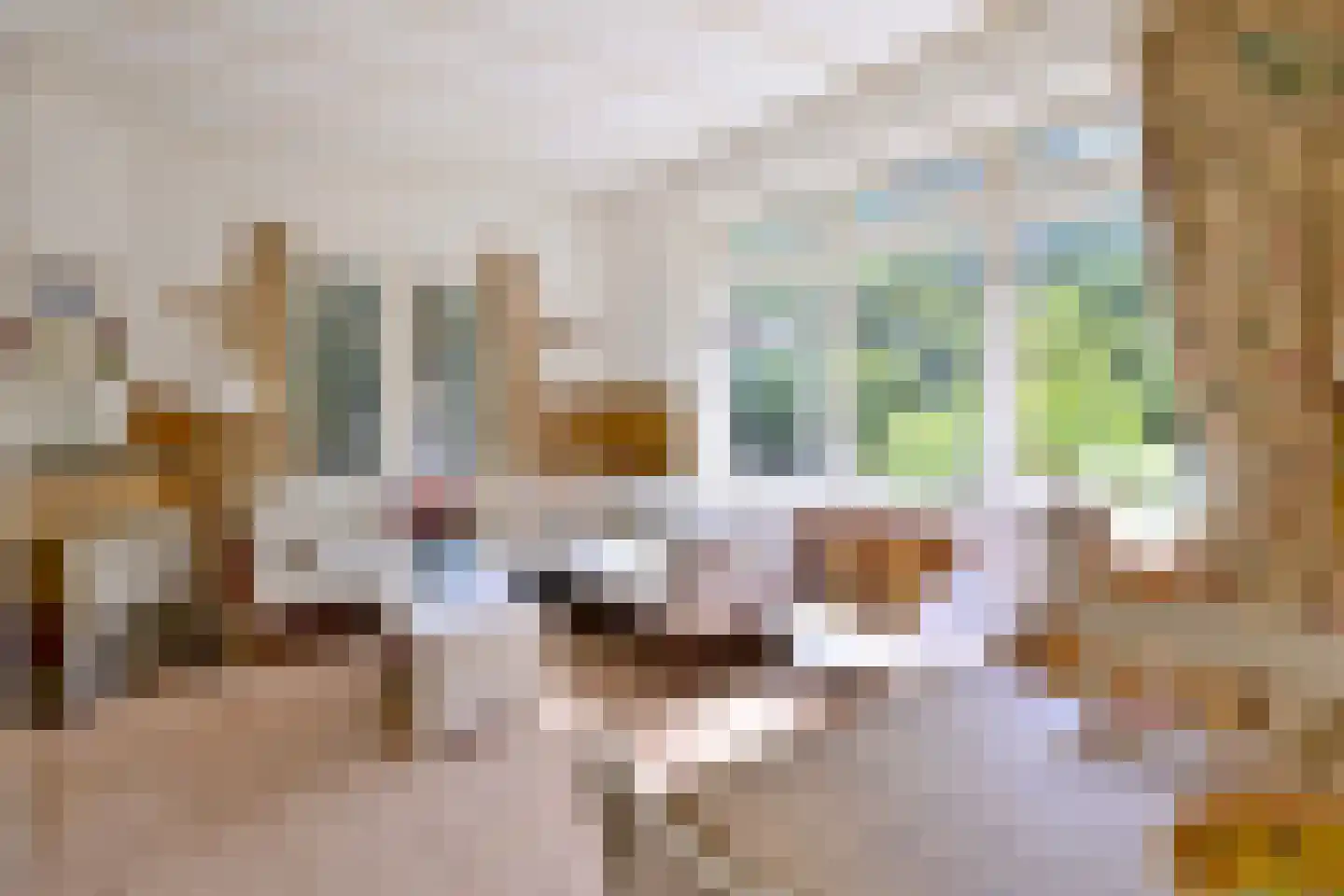 Oude Larenseweg 77 Epse thumbnail 10