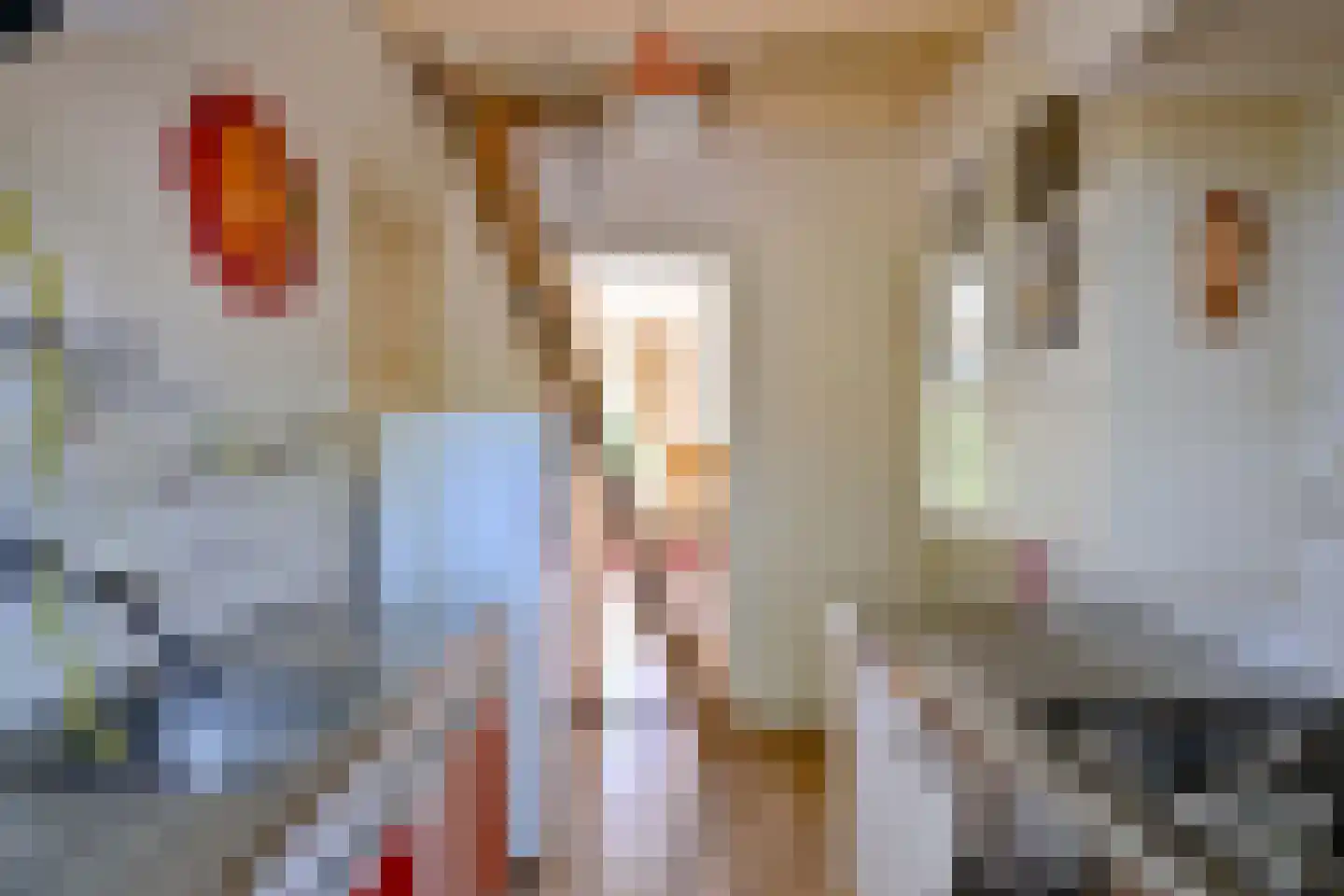Oude Larenseweg 77 Epse thumbnail 20