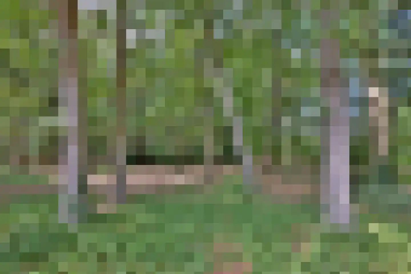 Oude Larenseweg 77 Epse thumbnail 26