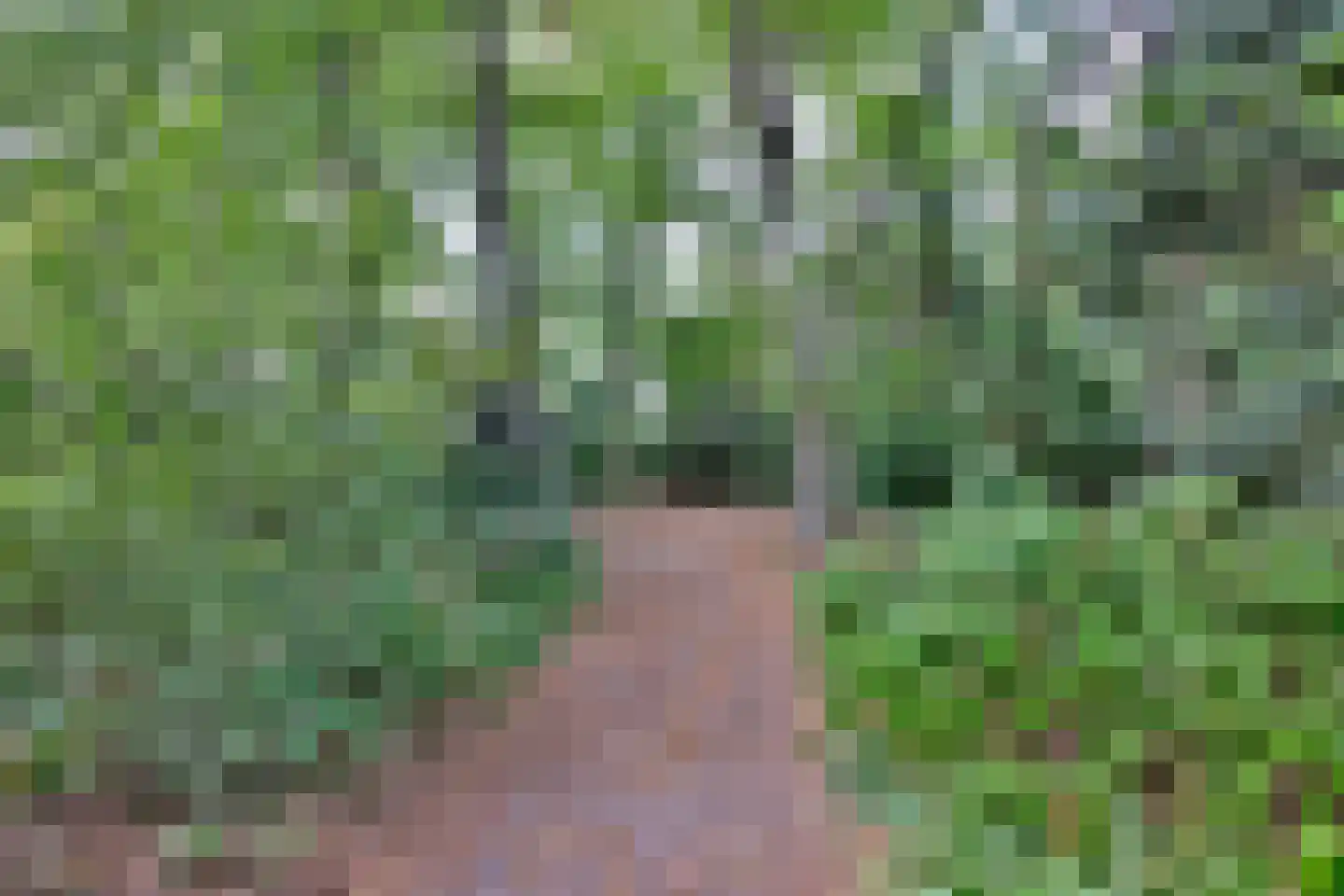 Oude Larenseweg 77 Epse thumbnail 28