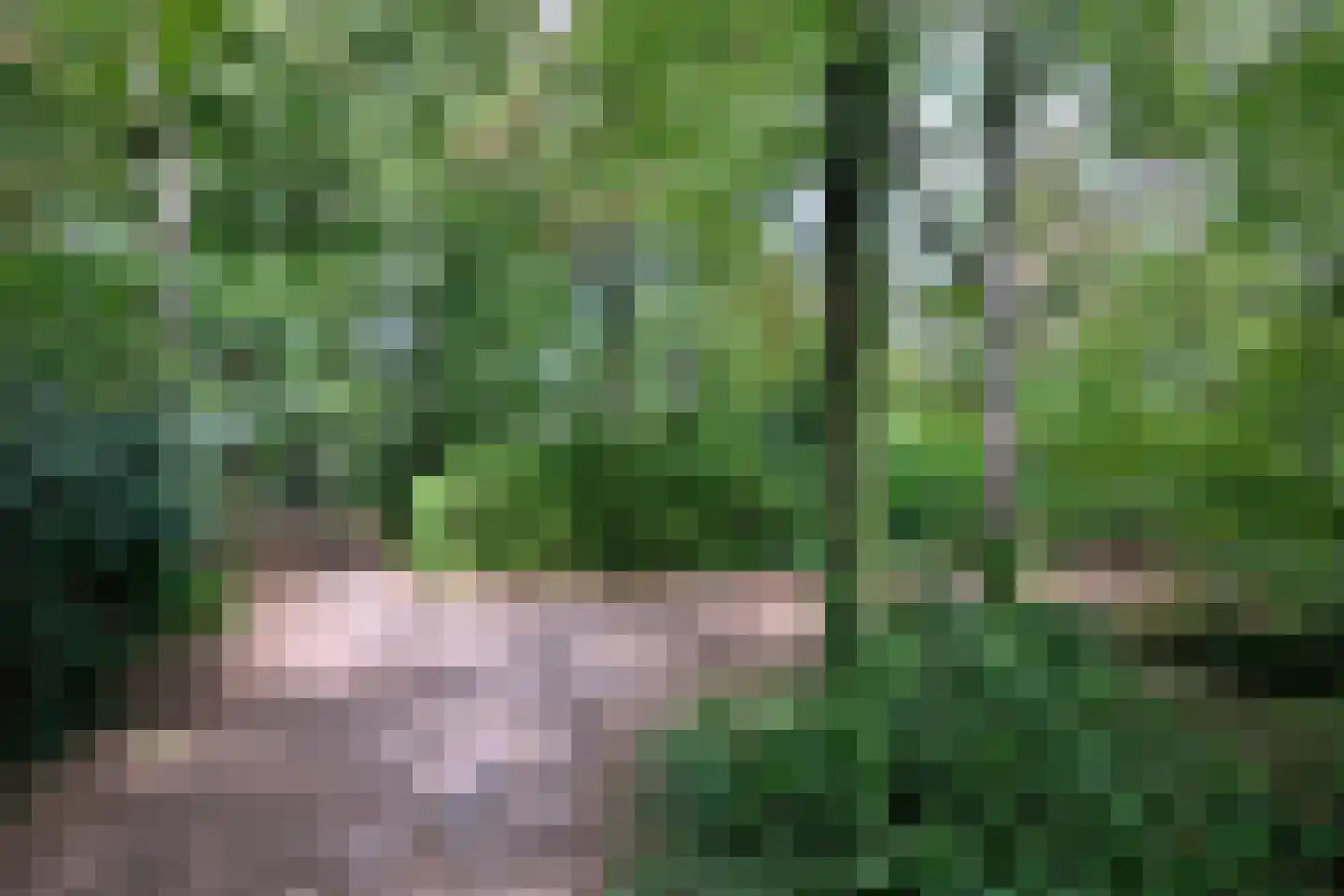 Oude Larenseweg 77 Epse thumbnail 30