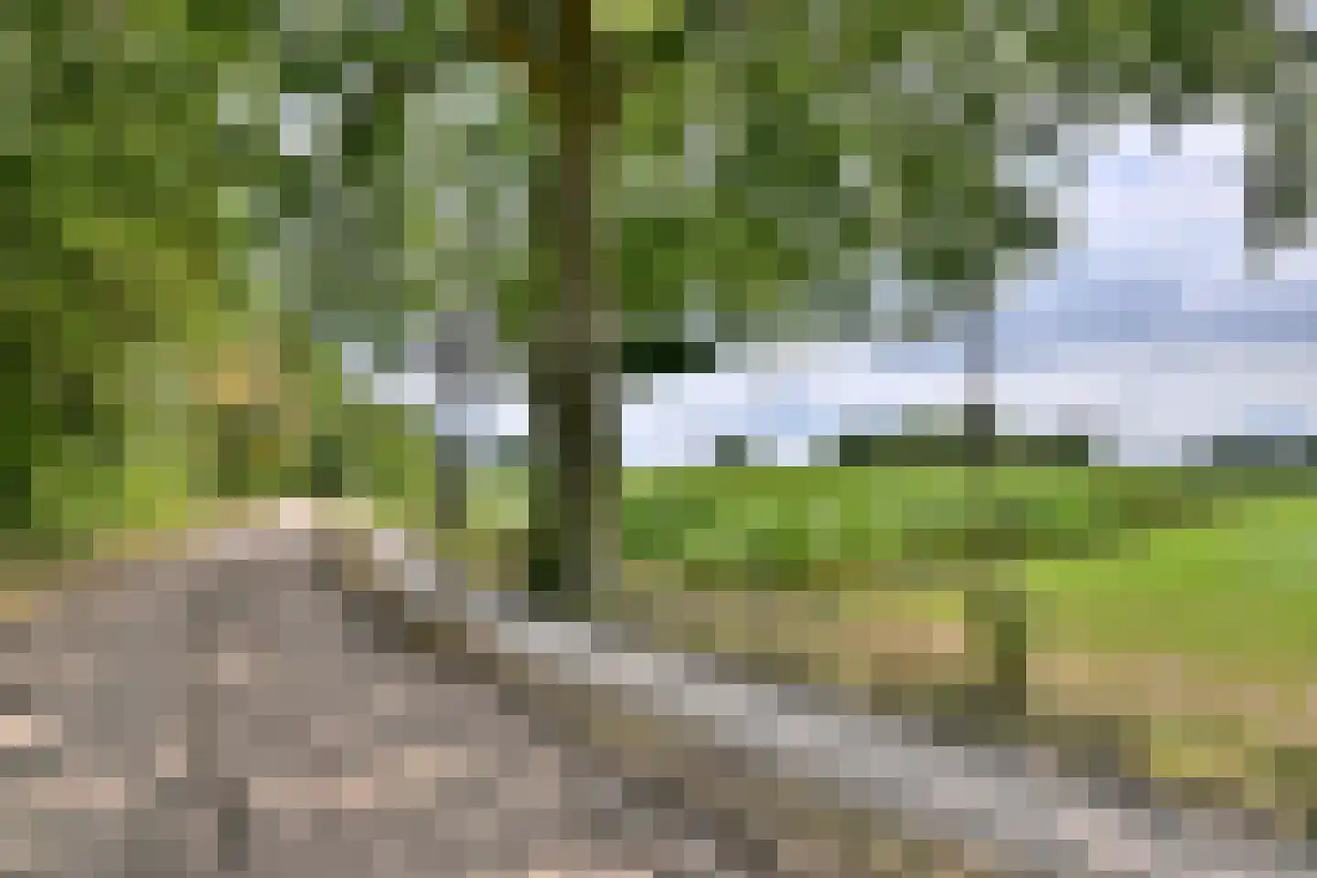Oude Larenseweg 77 Epse thumbnail 32