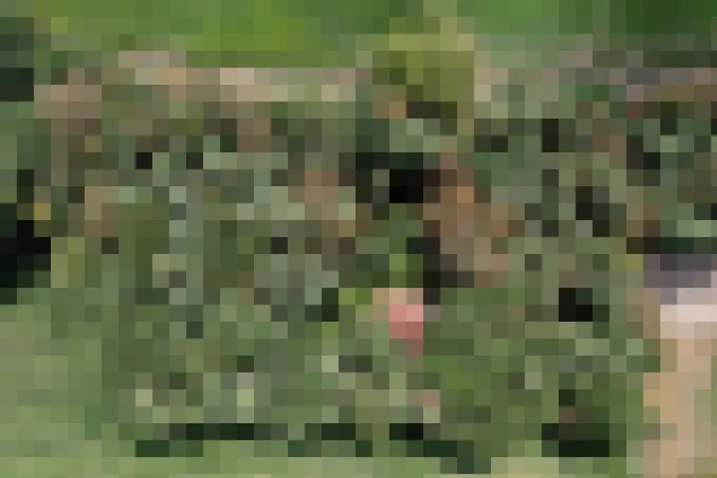 Oude Larenseweg 77 Epse thumbnail 4
