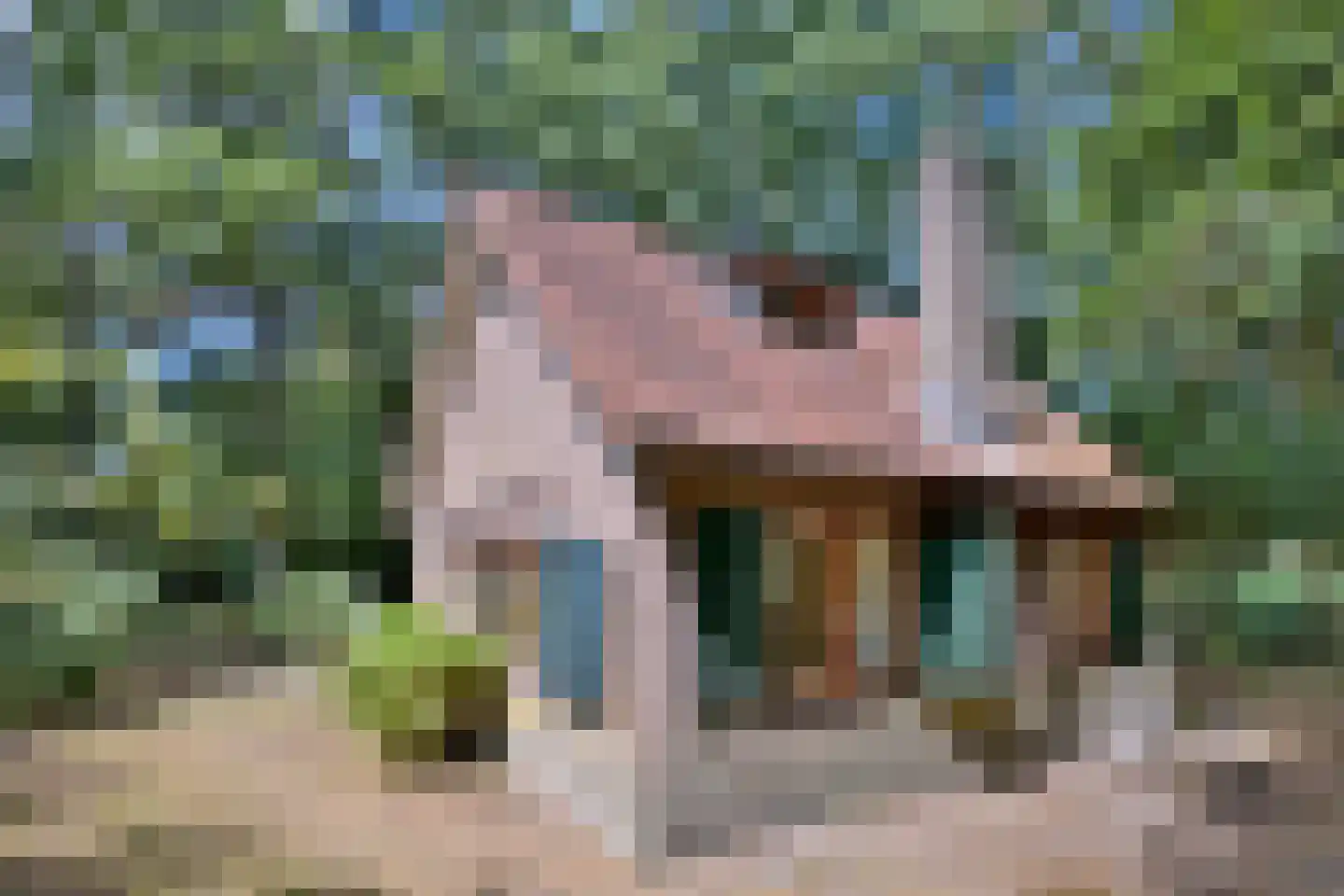 Oude Larenseweg 77 Epse thumbnail 6