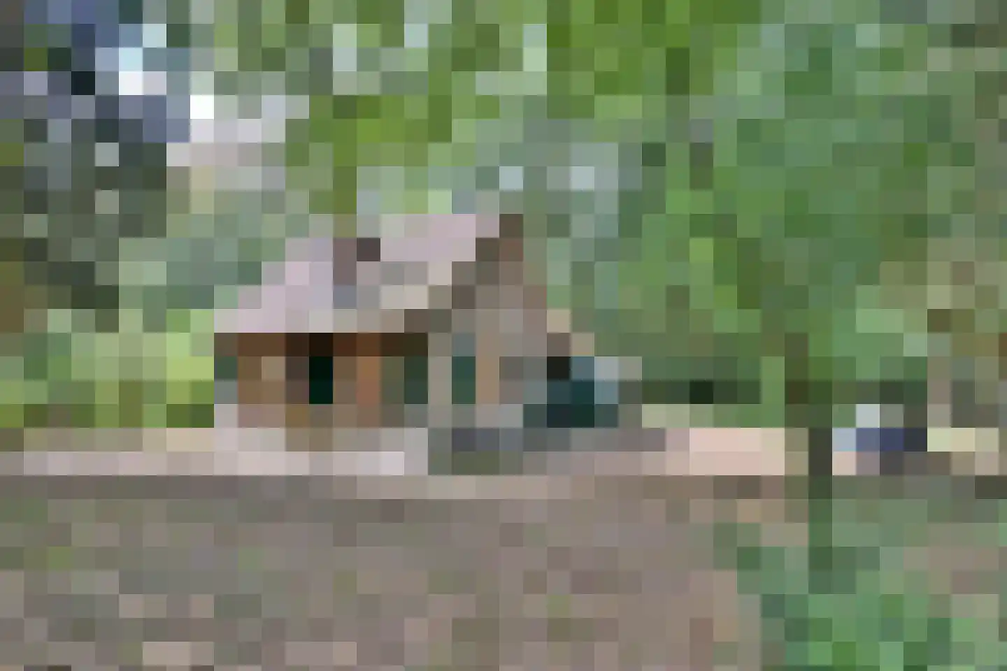 Oude Larenseweg 77 Epse thumbnail 7