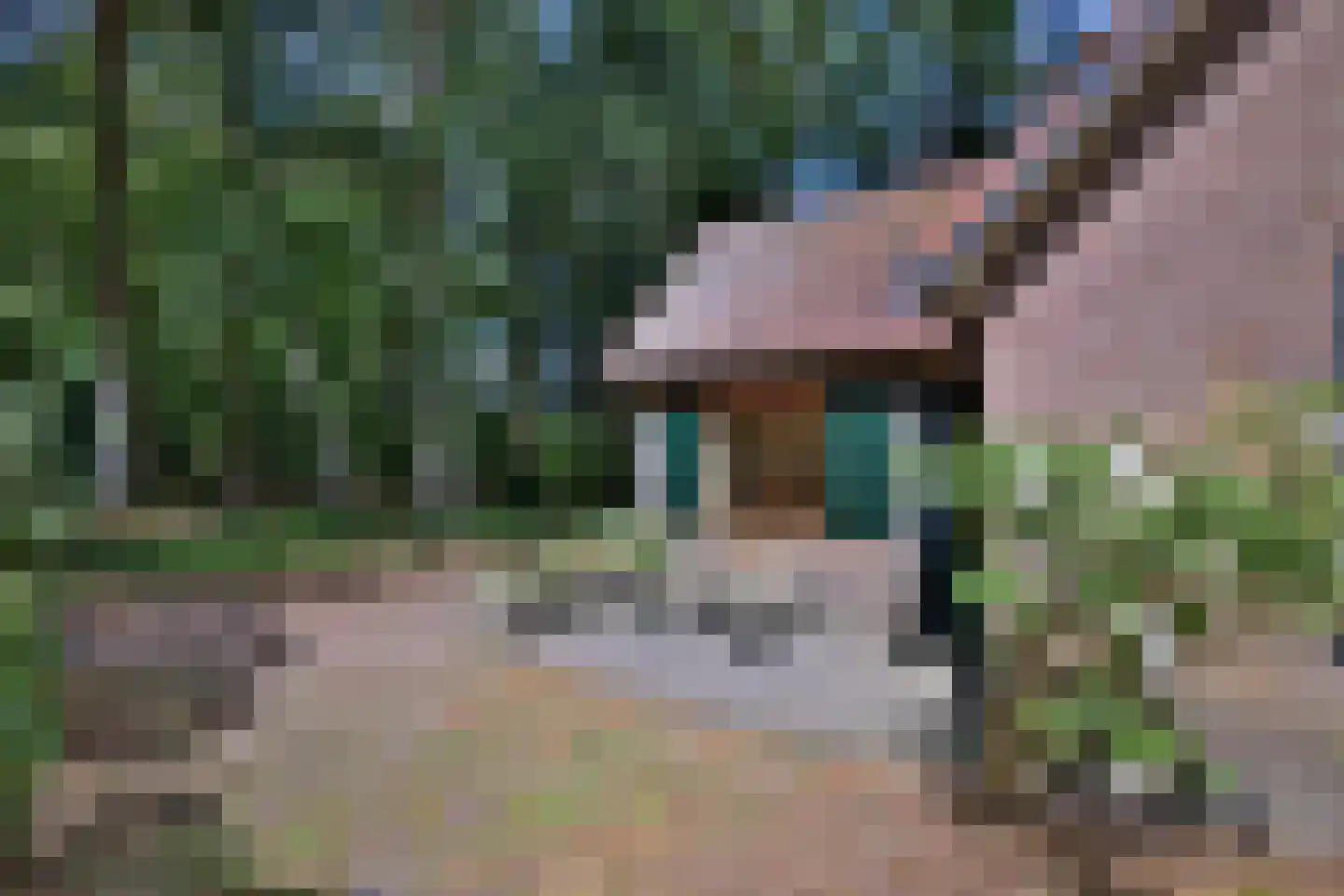Oude Larenseweg 77 Epse thumbnail 9