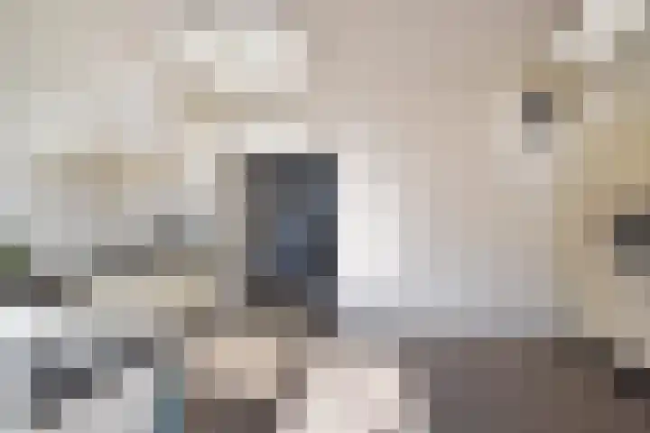 Oude Leedeweg 151 Pijnacker thumbnail 12