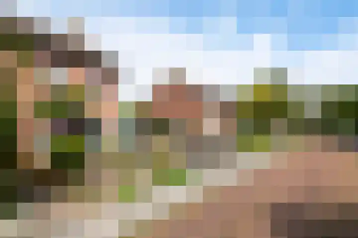 Oude Leedeweg 151 Pijnacker thumbnail 16