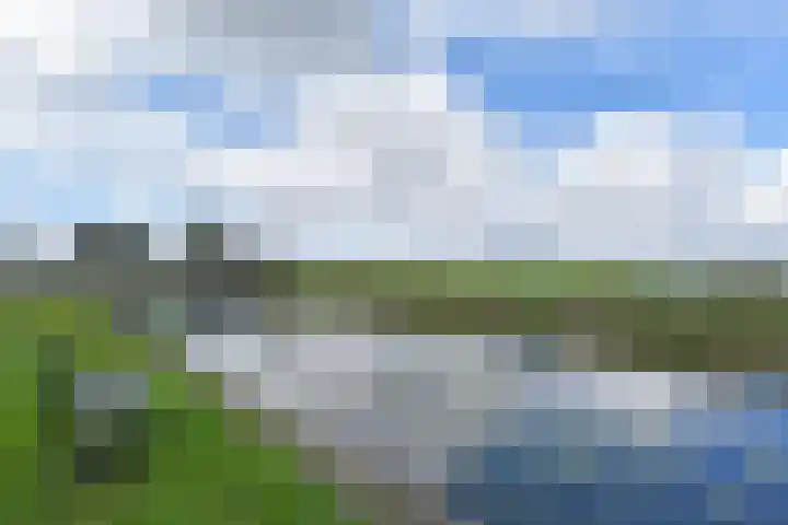 Oude Leedeweg 151 Pijnacker thumbnail 22