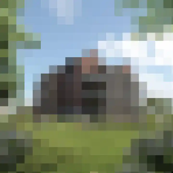 Oude Leedeweg 151 Pijnacker thumbnail 6