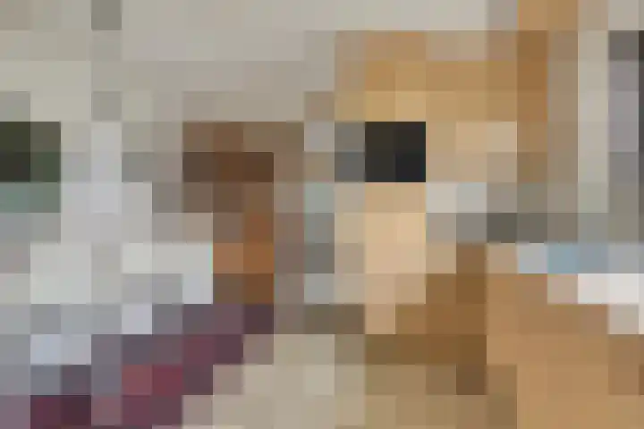Oude Leedeweg 16 a Pijnacker thumbnail 10