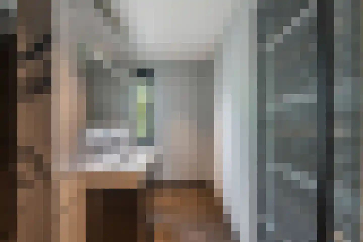 Oude Leedeweg 28 a Pijnacker thumbnail 28