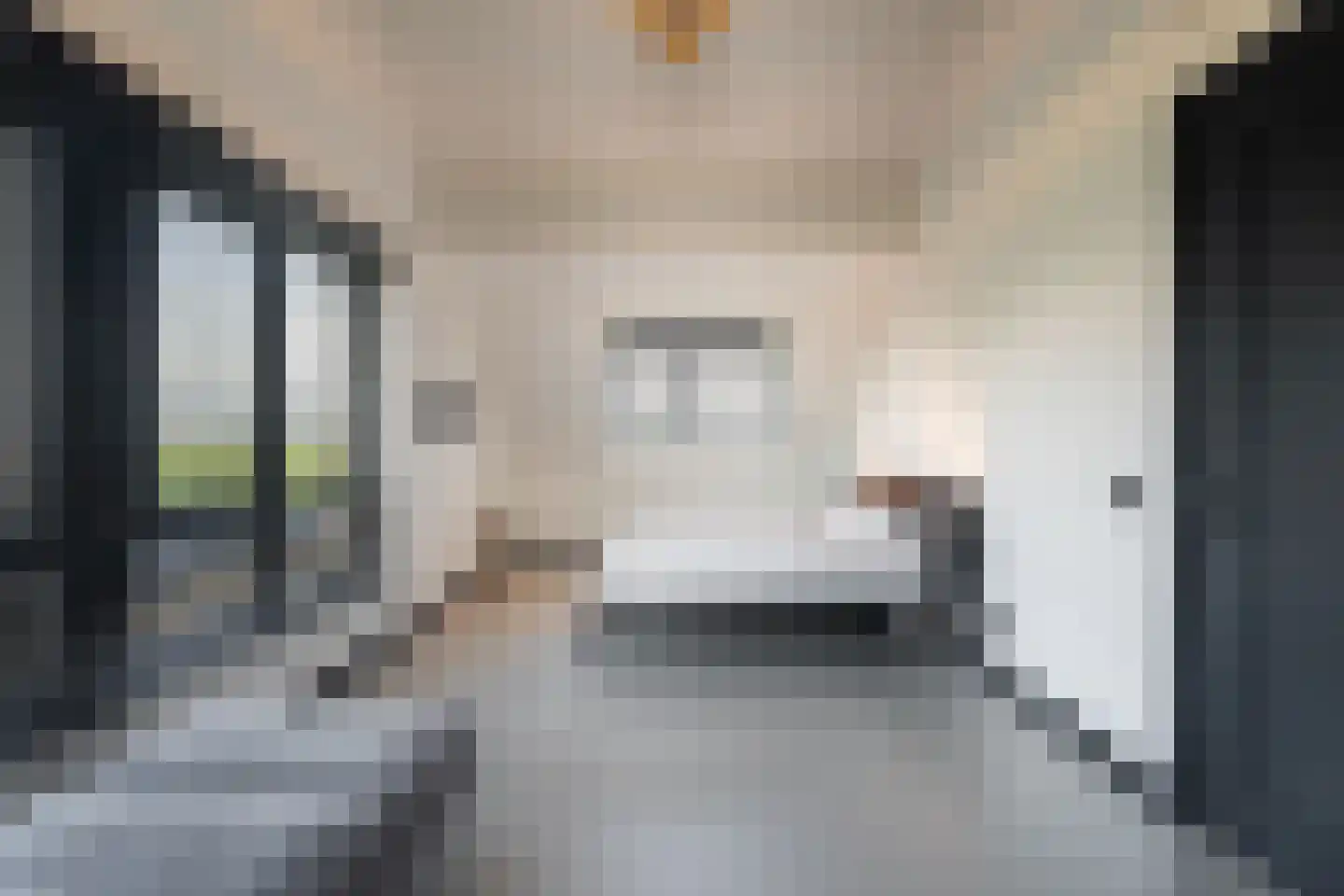 Oude Leedeweg 28 a Pijnacker thumbnail 31