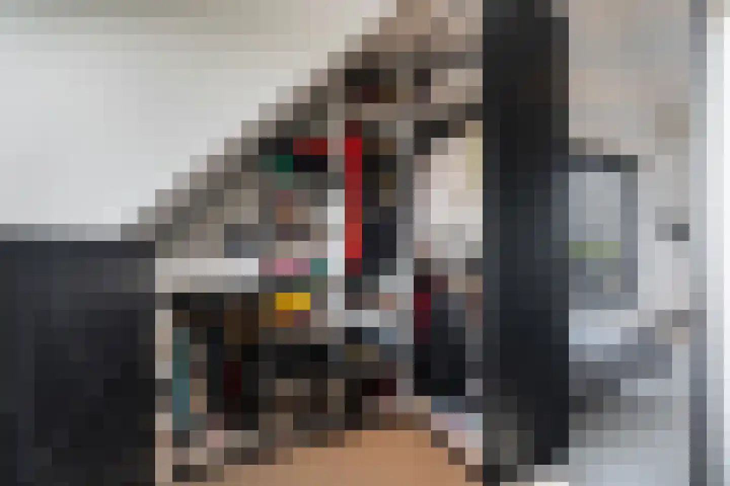Oude Leedeweg 28 a Pijnacker thumbnail 33