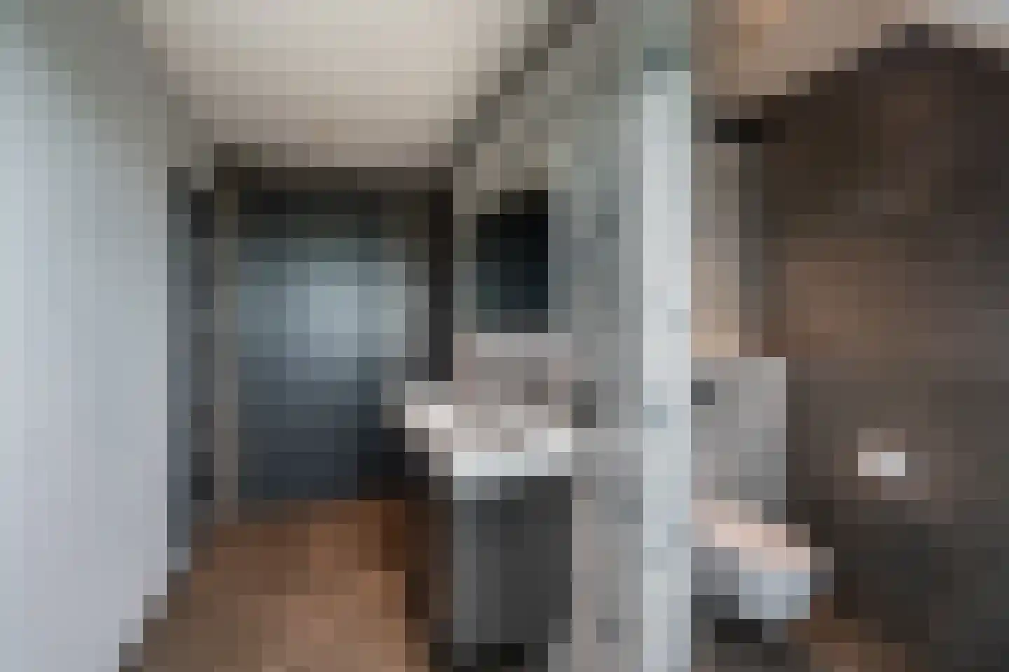 Oude Leedeweg 28 a Pijnacker thumbnail 35