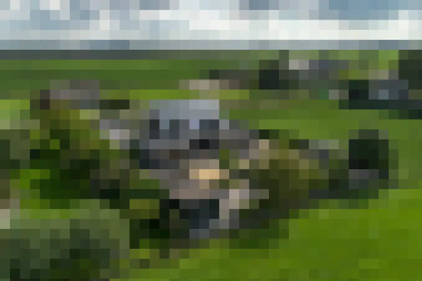 Oude Leedeweg 28 a Pijnacker thumbnail 4