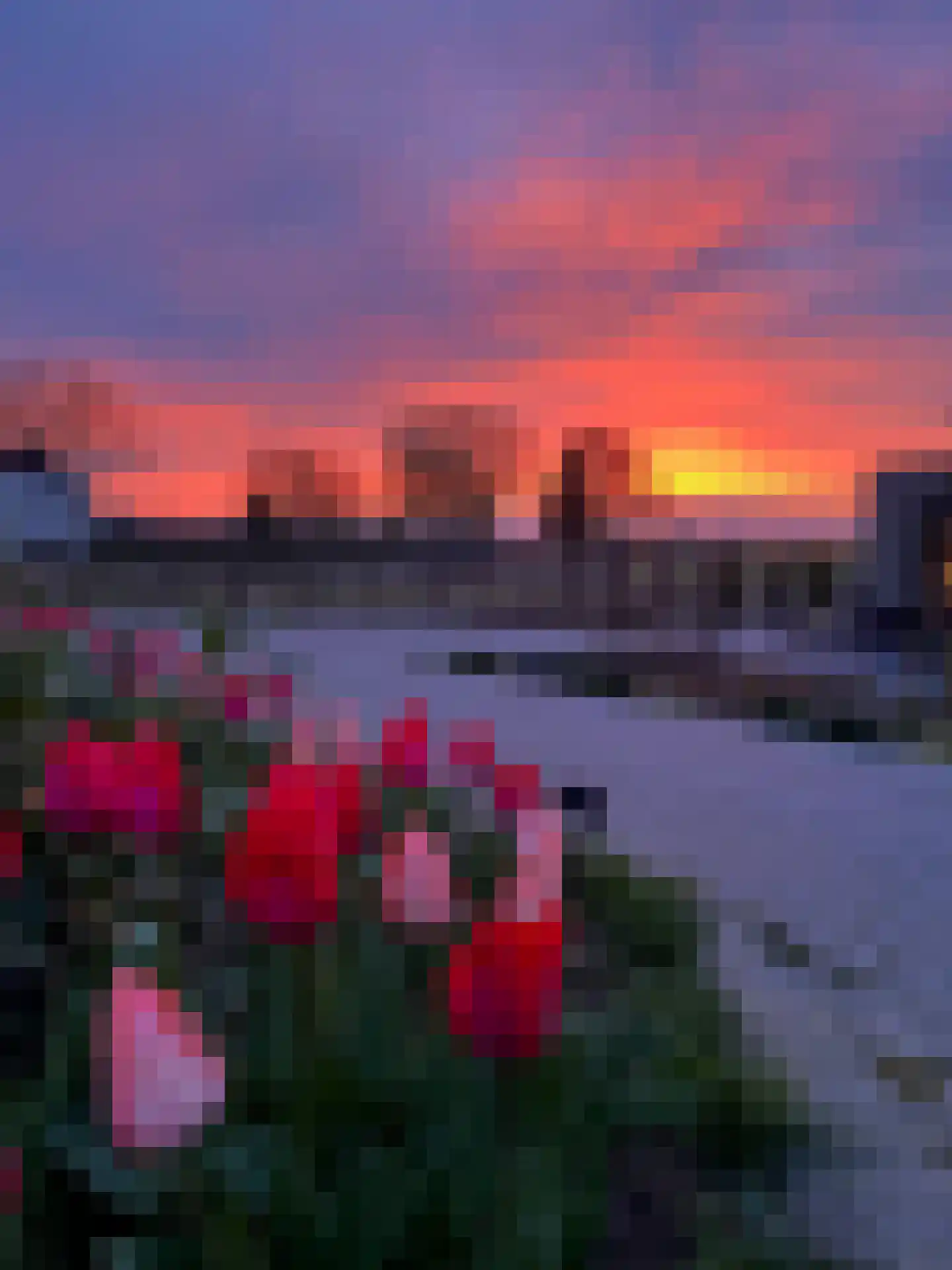 Oude Leedeweg 28 a Pijnacker thumbnail 53