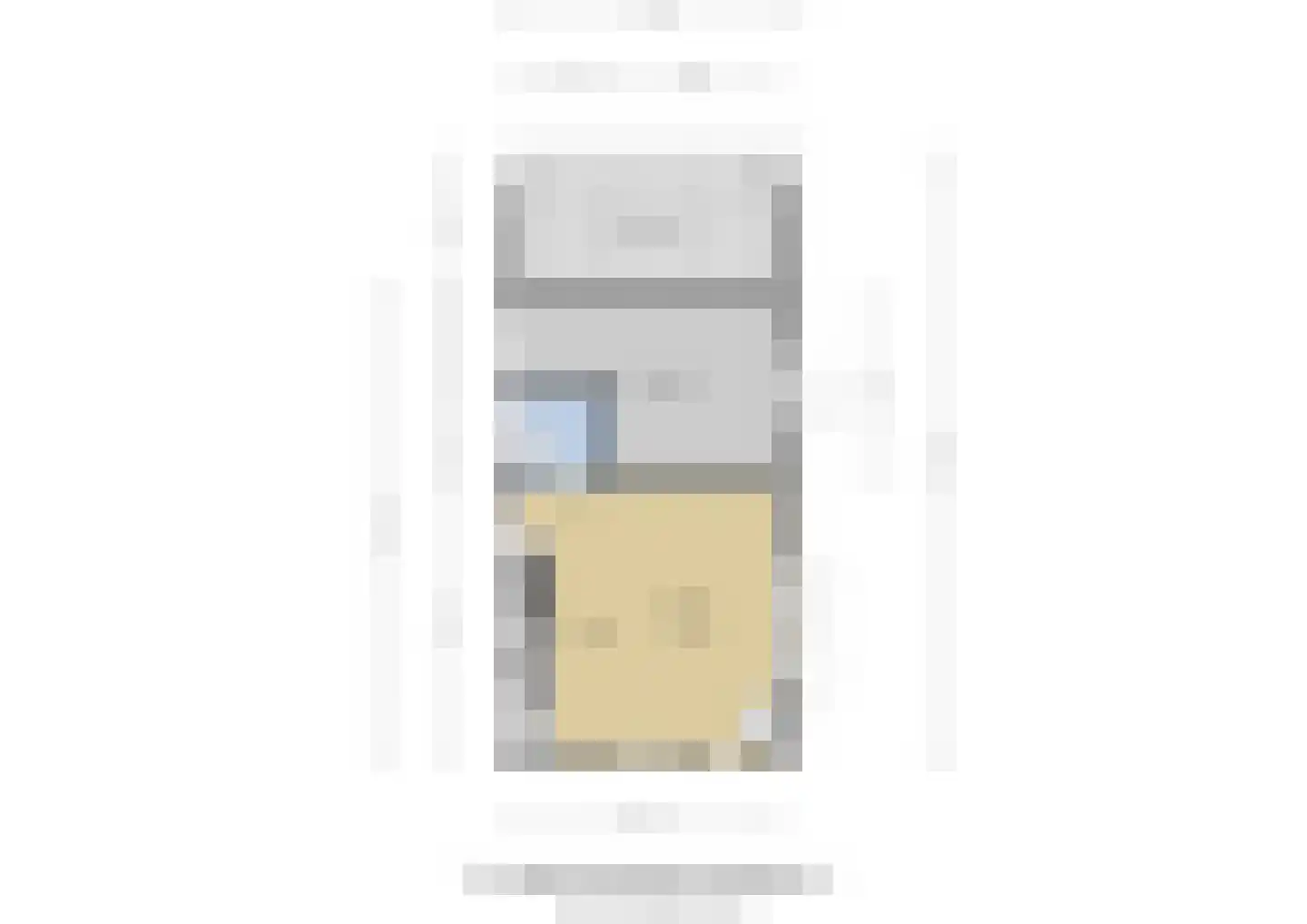 Oude Leedeweg 28 a Pijnacker thumbnail 59