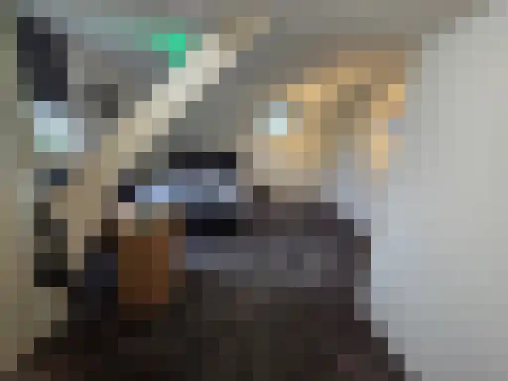 Oude Leedeweg 36 Pijnacker thumbnail 10