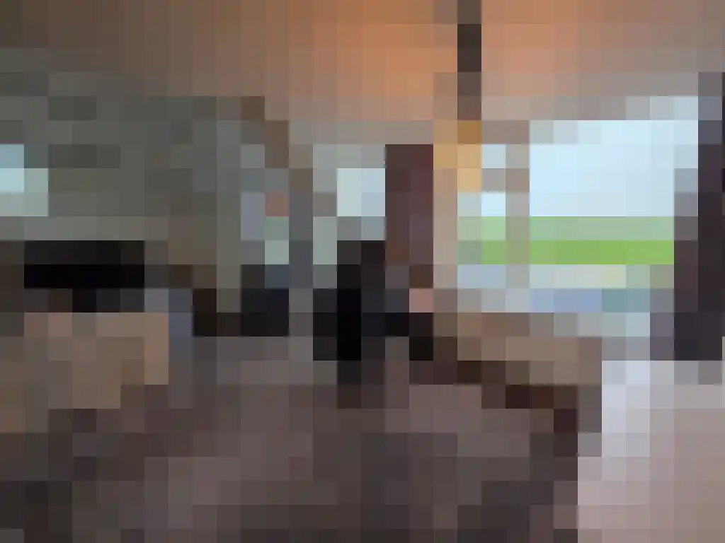 Oude Leedeweg 36 Pijnacker thumbnail 11