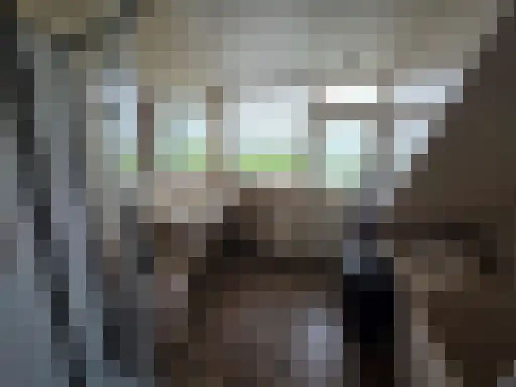 Oude Leedeweg 36 Pijnacker thumbnail 13