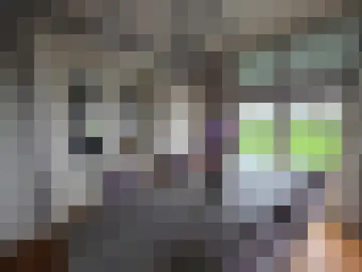 Oude Leedeweg 36 Pijnacker thumbnail 7
