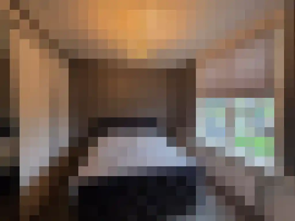 Oude Leedeweg 36 Pijnacker thumbnail 9